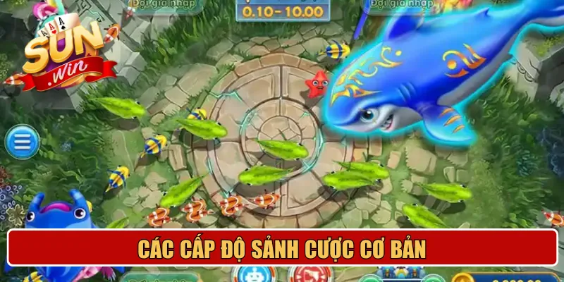 Các cấp độ sảnh cược cơ bản
